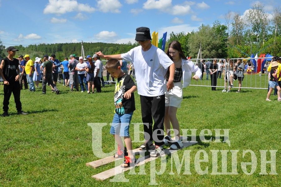 Сабантуй-2024 в Черемшане: открытие, национальные подворья, игры (ФОТОРЕПОРТАЖ)