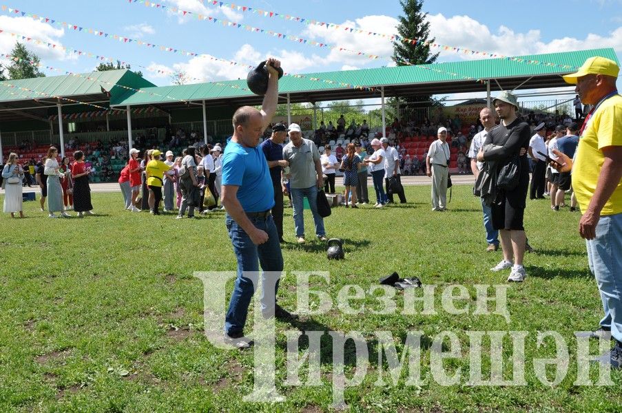 Сабантуй-2024 в Черемшане: открытие, национальные подворья, игры (ФОТОРЕПОРТАЖ)