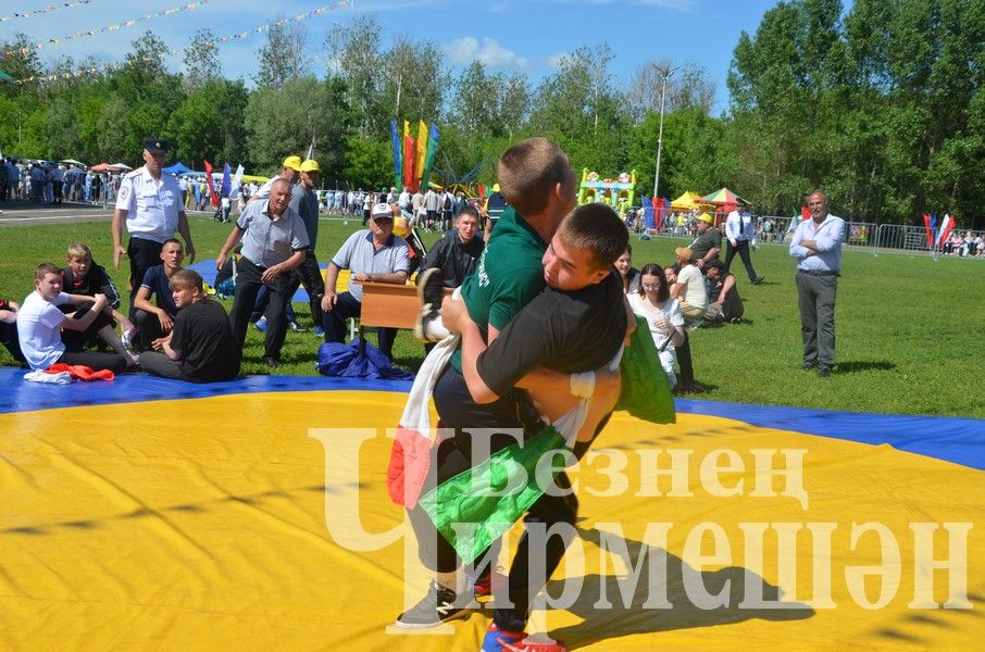 Сабантуй-2024 в Черемшане: национальная борьба корэш (ФОТОРЕПОРТАЖ)