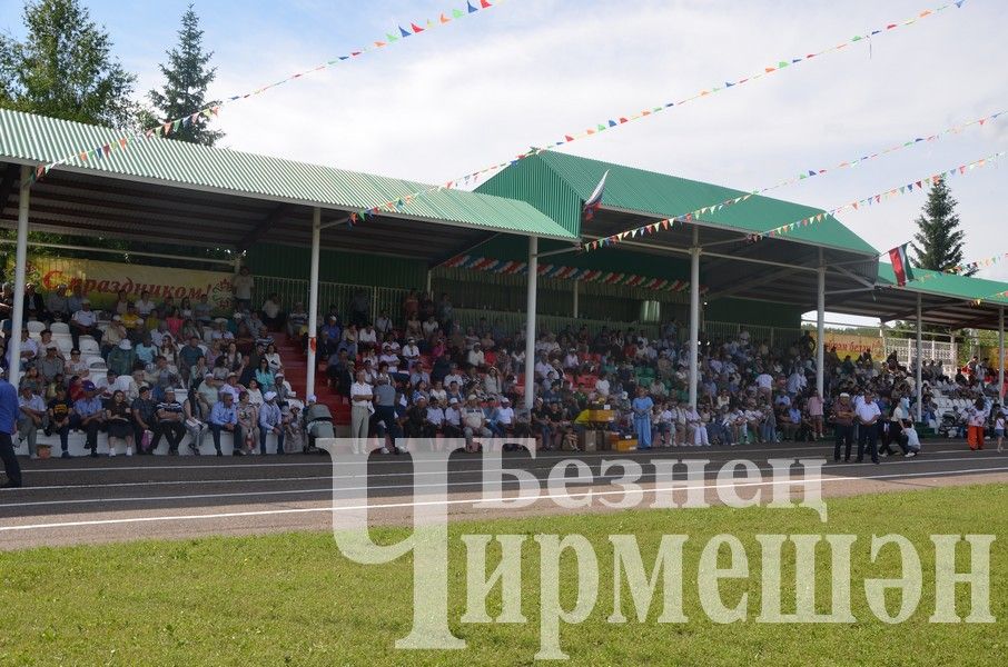 Сабантуй-2024 в Черемшане: национальная борьба корэш (ФОТОРЕПОРТАЖ)