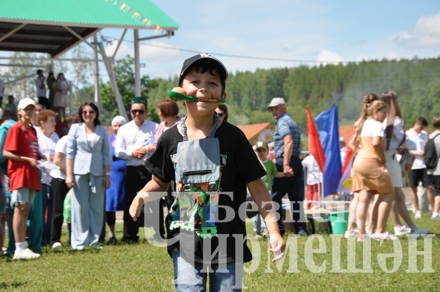 Сабантуй-2024 в Черемшане: открытие, национальные подворья, игры (ФОТОРЕПОРТАЖ)