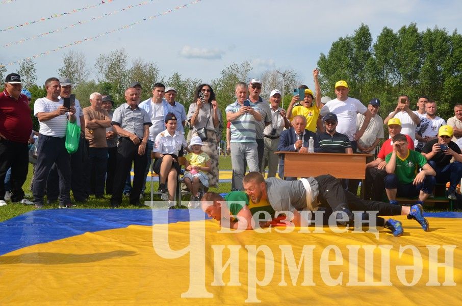 Сабантуй-2024 в Черемшане: национальная борьба корэш (ФОТОРЕПОРТАЖ)