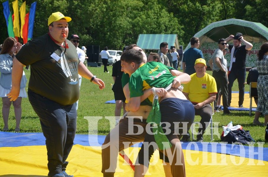 Сабантуй-2024 в Черемшане: национальная борьба корэш (ФОТОРЕПОРТАЖ)