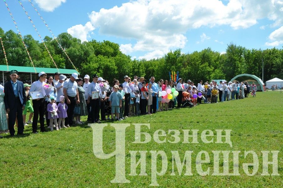 Сабантуй-2024 в Черемшане: награждение (ФОТОРЕПОРТАЖ)