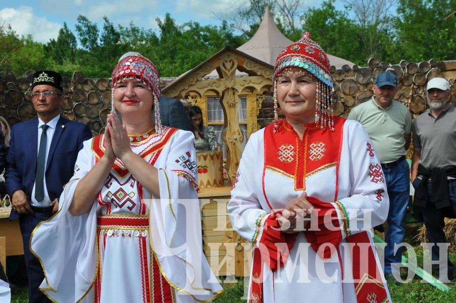 Сабантуй-2024 в Черемшане: открытие, национальные подворья, игры (ФОТОРЕПОРТАЖ)