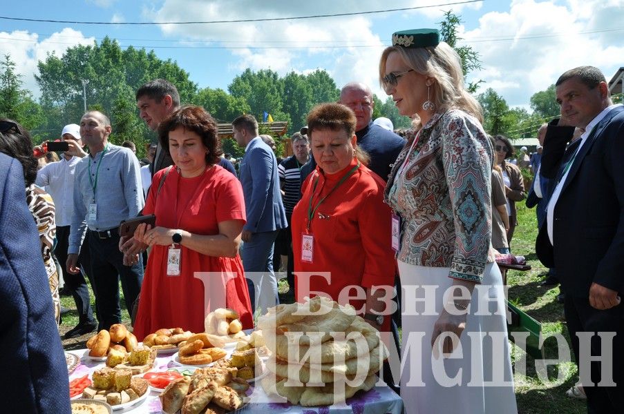 Сабантуй-2024 в Черемшане: открытие, национальные подворья, игры (ФОТОРЕПОРТАЖ)