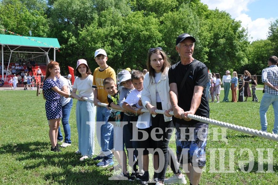 Сабантуй-2024 в Черемшане: открытие, национальные подворья, игры (ФОТОРЕПОРТАЖ)