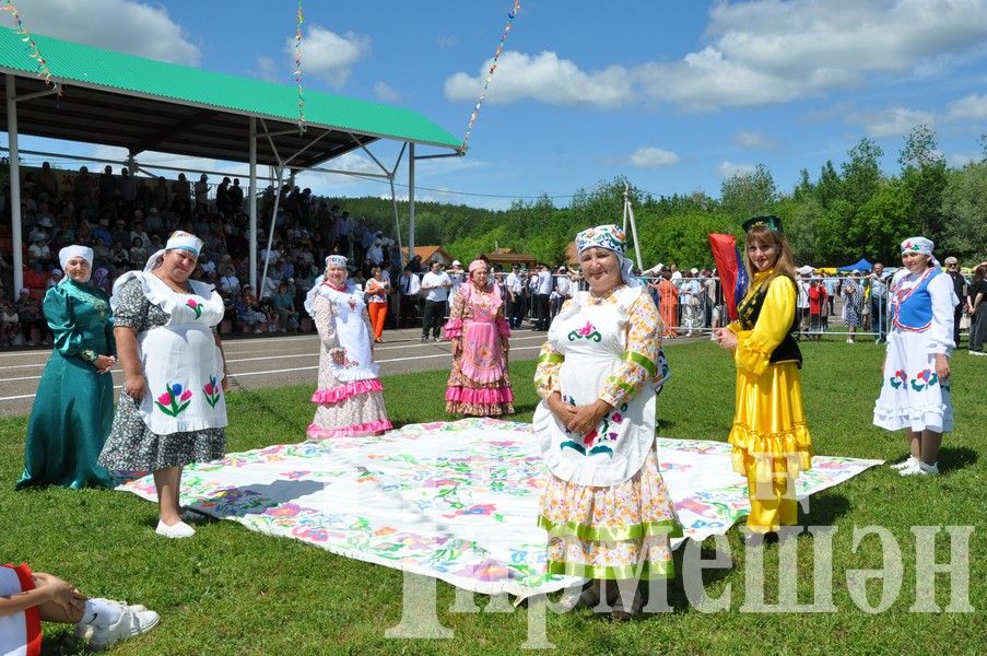 Сабантуй-2024 в Черемшане: награждение (ФОТОРЕПОРТАЖ)