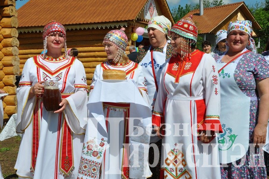 Сабантуй-2024 в Черемшане: открытие, национальные подворья, игры (ФОТОРЕПОРТАЖ)