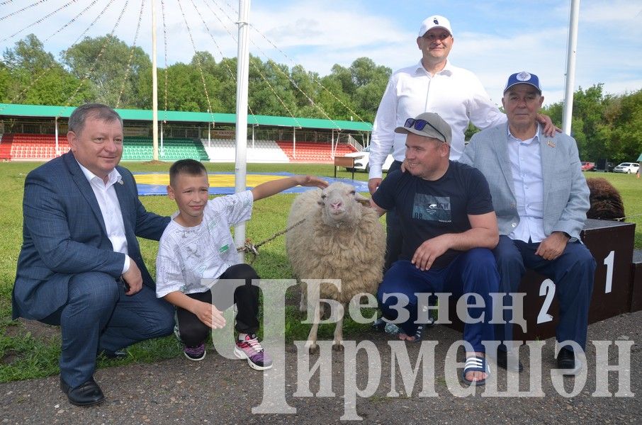 Сабантуй-2024 в Черемшане: национальная борьба корэш (ФОТОРЕПОРТАЖ)