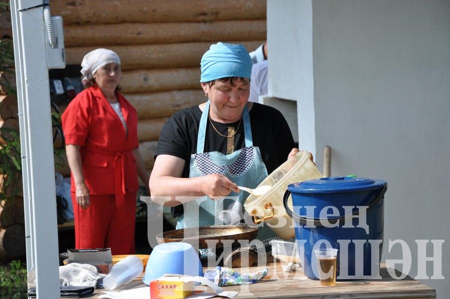 Сабантуй-2024 в Черемшане: открытие, национальные подворья, игры (ФОТОРЕПОРТАЖ)