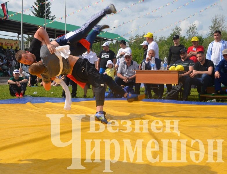 Сабантуй-2024 в Черемшане: национальная борьба корэш (ФОТОРЕПОРТАЖ)