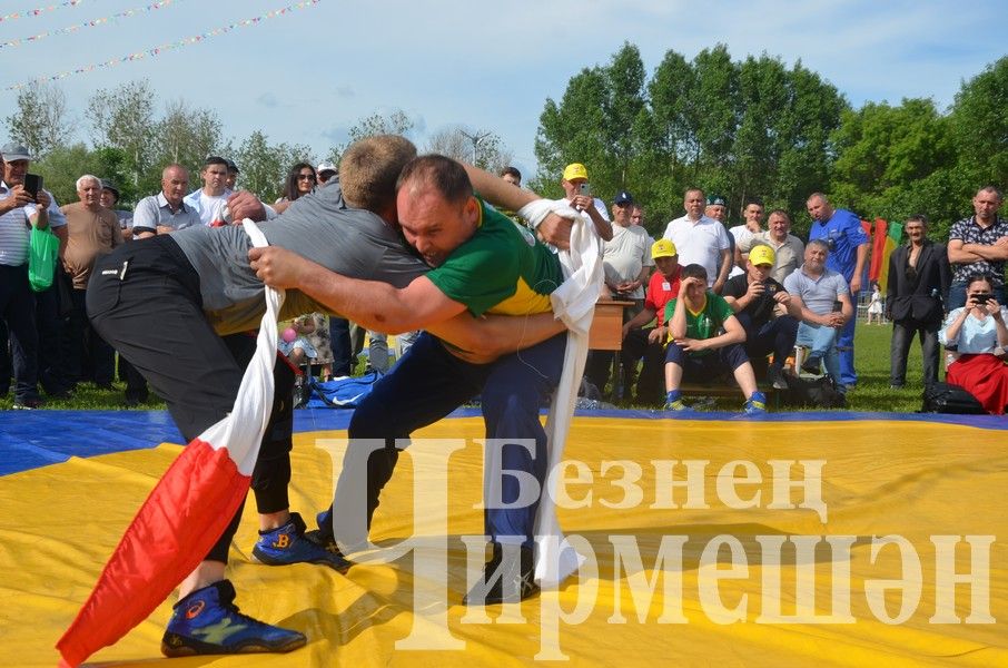 Сабантуй-2024 в Черемшане: национальная борьба корэш (ФОТОРЕПОРТАЖ)