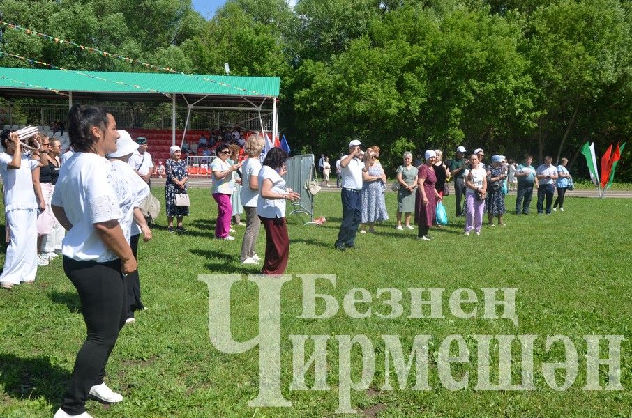 Сабантуй-2024 в Черемшане: национальная борьба корэш (ФОТОРЕПОРТАЖ)