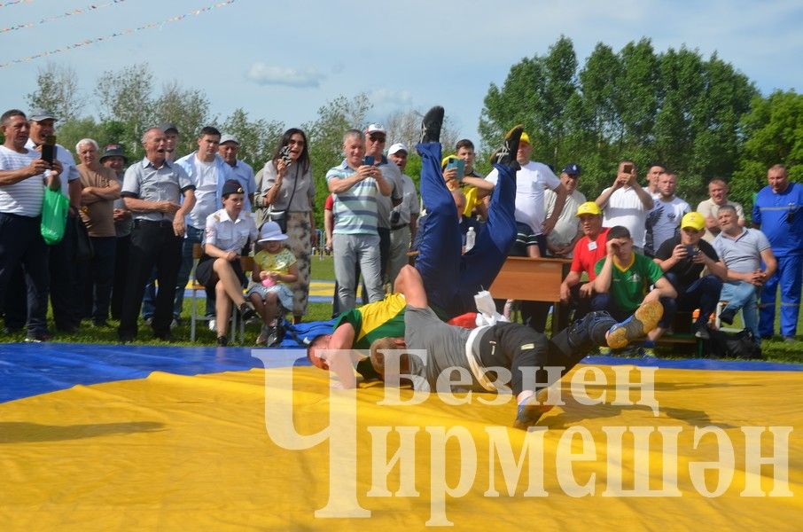 Сабантуй-2024 в Черемшане: национальная борьба корэш (ФОТОРЕПОРТАЖ)