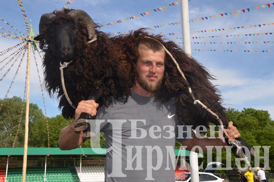 Сабантуй-2024 в Черемшане: национальная борьба корэш (ФОТОРЕПОРТАЖ)