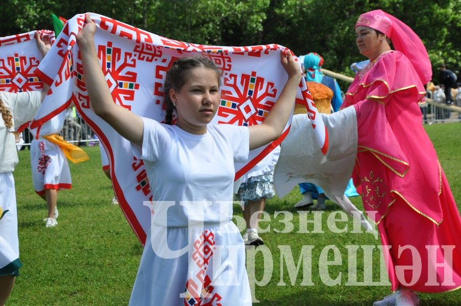 Сабантуй-2024 в Черемшане: открытие, национальные подворья, игры (ФОТОРЕПОРТАЖ)