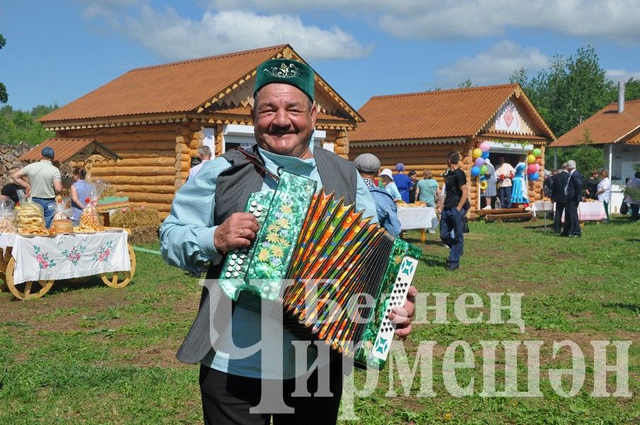 Сабантуй-2024 в Черемшане: открытие, национальные подворья, игры (ФОТОРЕПОРТАЖ)