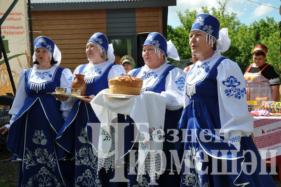 Сабантуй-2024 в Черемшане: открытие, национальные подворья, игры (ФОТОРЕПОРТАЖ)