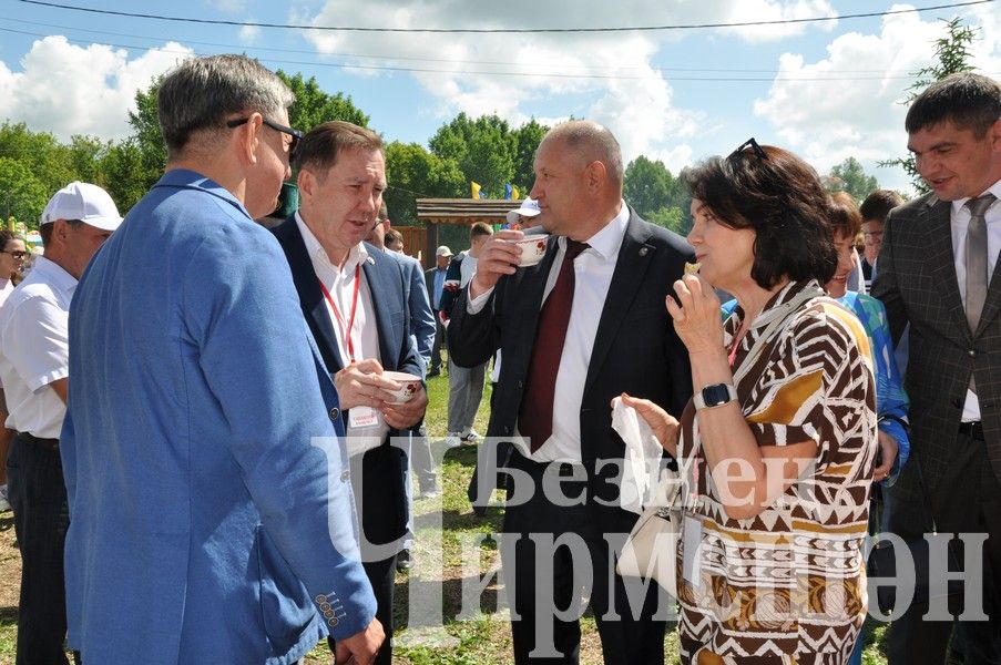 Сабантуй-2024 в Черемшане: открытие, национальные подворья, игры (ФОТОРЕПОРТАЖ)