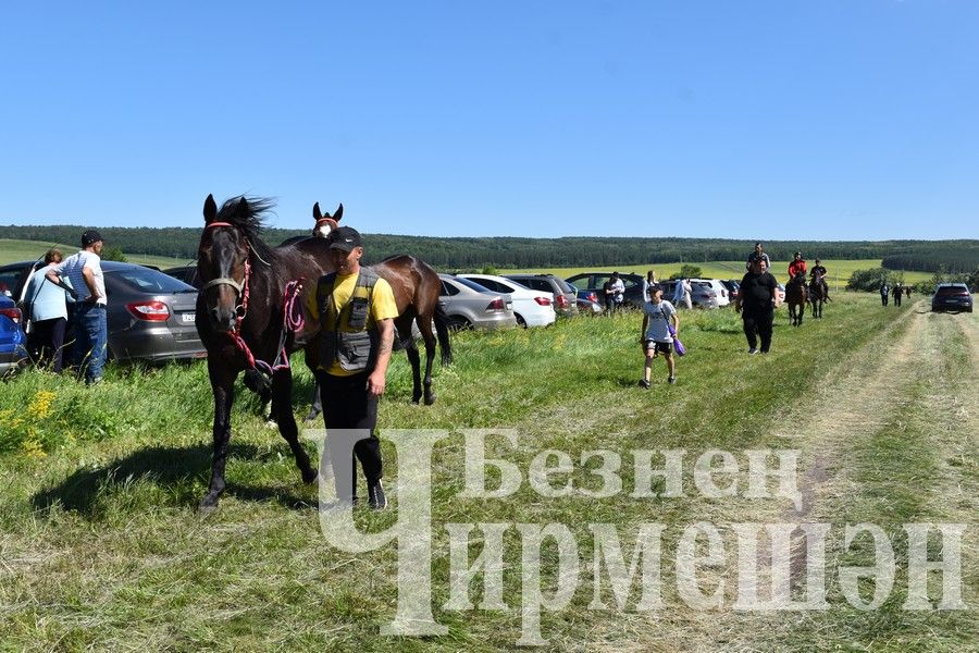 В Беркет  Ключе на Дне села ловили петуха (ФОТОРЕПОРТАЖ)