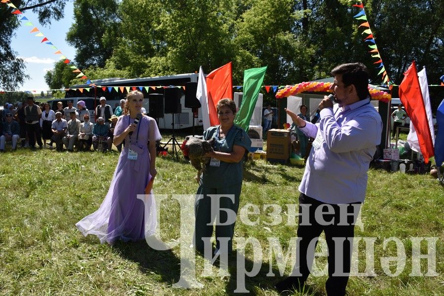 В Беркет  Ключе на Дне села ловили петуха (ФОТОРЕПОРТАЖ)