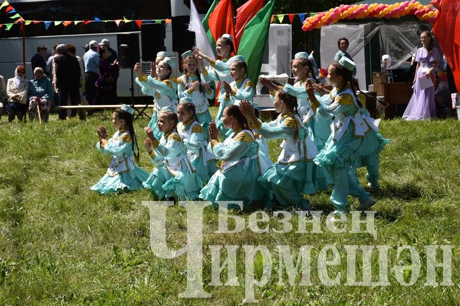 В Беркет  Ключе на Дне села ловили петуха (ФОТОРЕПОРТАЖ)