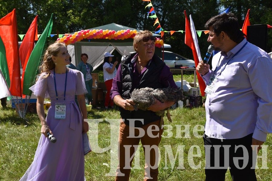 В Беркет  Ключе на Дне села ловили петуха (ФОТОРЕПОРТАЖ)