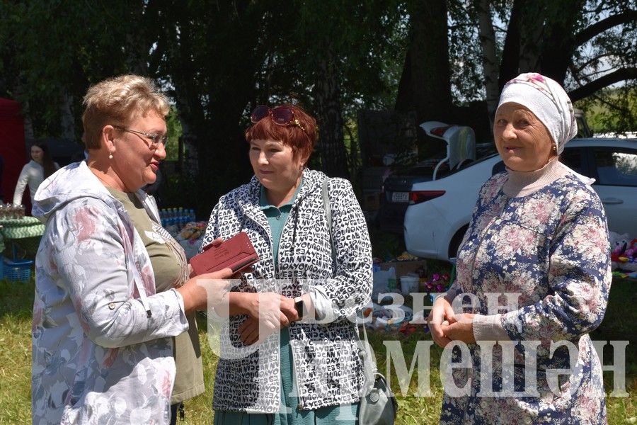 В Беркет  Ключе на Дне села ловили петуха (ФОТОРЕПОРТАЖ)