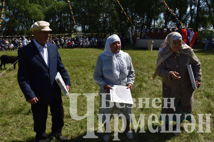 В Беркет  Ключе на Дне села ловили петуха (ФОТОРЕПОРТАЖ)