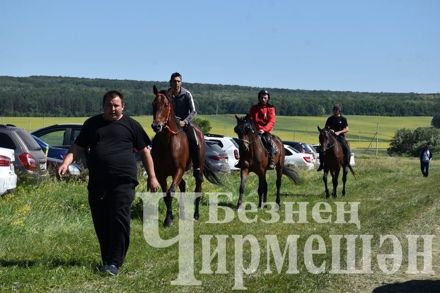 В Беркет  Ключе на Дне села ловили петуха (ФОТОРЕПОРТАЖ)