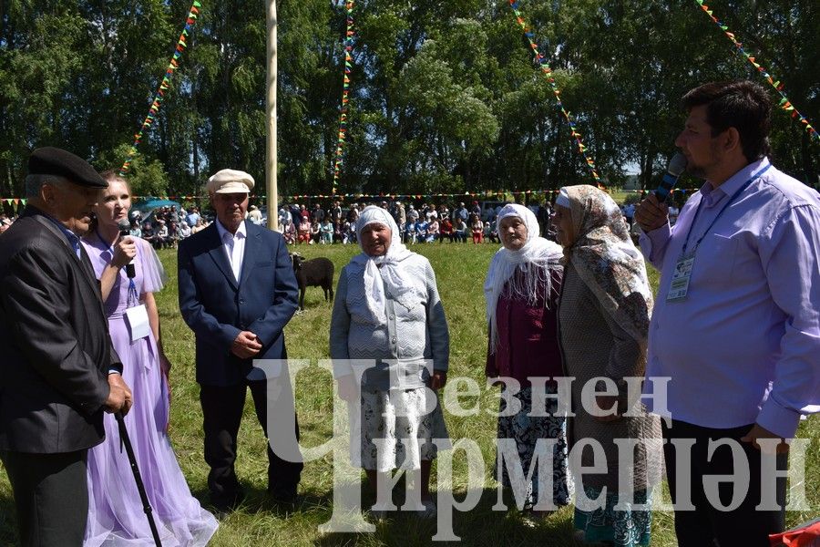 В Беркет  Ключе на Дне села ловили петуха (ФОТОРЕПОРТАЖ)