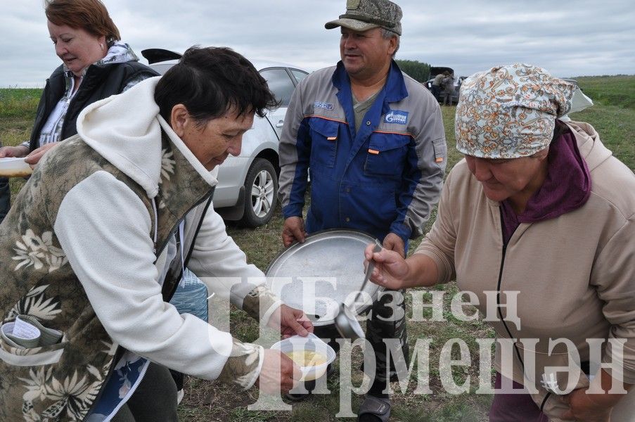 В Черемшанском районе прошли соревнования по спортивной рыбалке "Клевый рыбак" (ФОТОРЕПОРТАЖ)