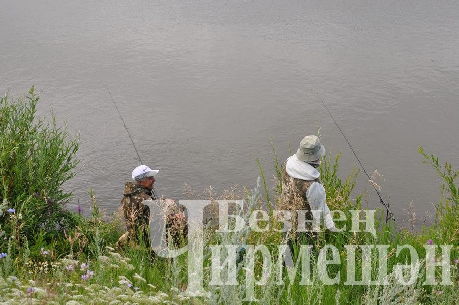 В Черемшанском районе прошли соревнования по спортивной рыбалке "Клевый рыбак" (ФОТОРЕПОРТАЖ)