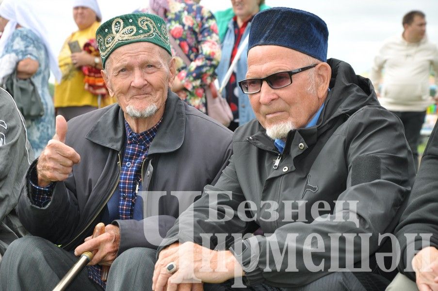 Яшәүчедәге Авыл көнендә полиция майоры батыр калды (ФОТОРЕПОРТАЖ)