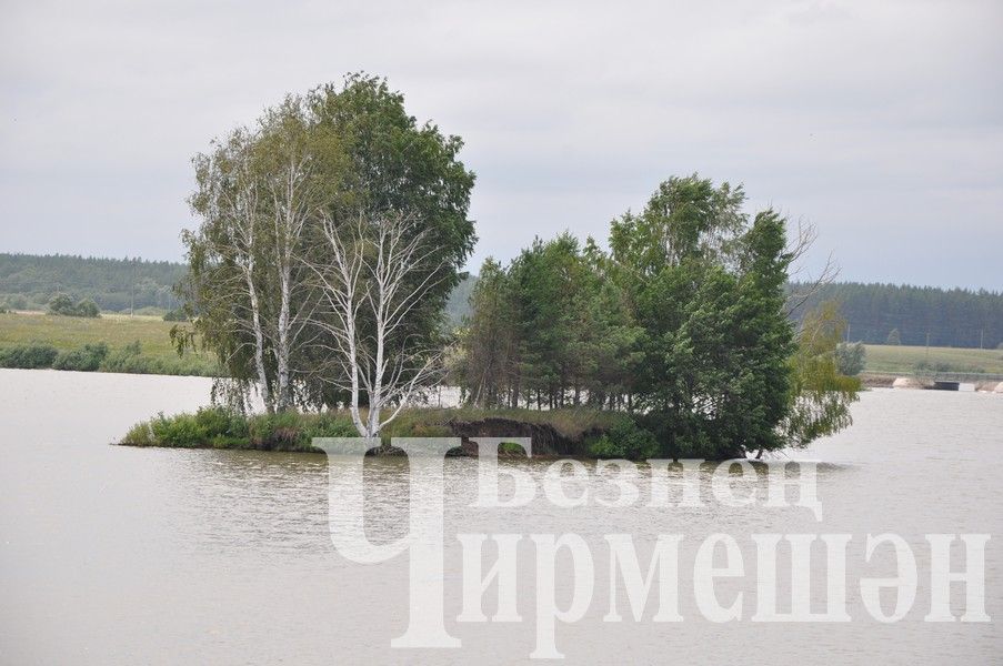 В Черемшанском районе прошли соревнования по спортивной рыбалке "Клевый рыбак" (ФОТОРЕПОРТАЖ)