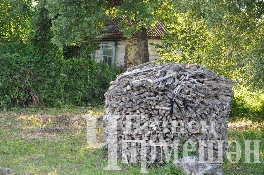 На Дне села в Яшавче батыром стал майор полиции (ФОТОРЕПОРТАЖ)