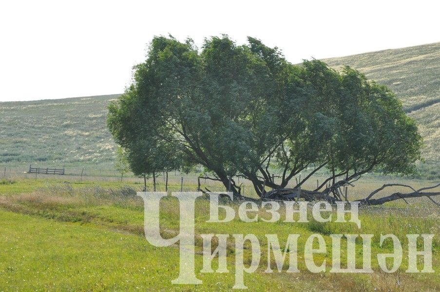 На Дне села в Яшавче батыром стал майор полиции (ФОТОРЕПОРТАЖ)