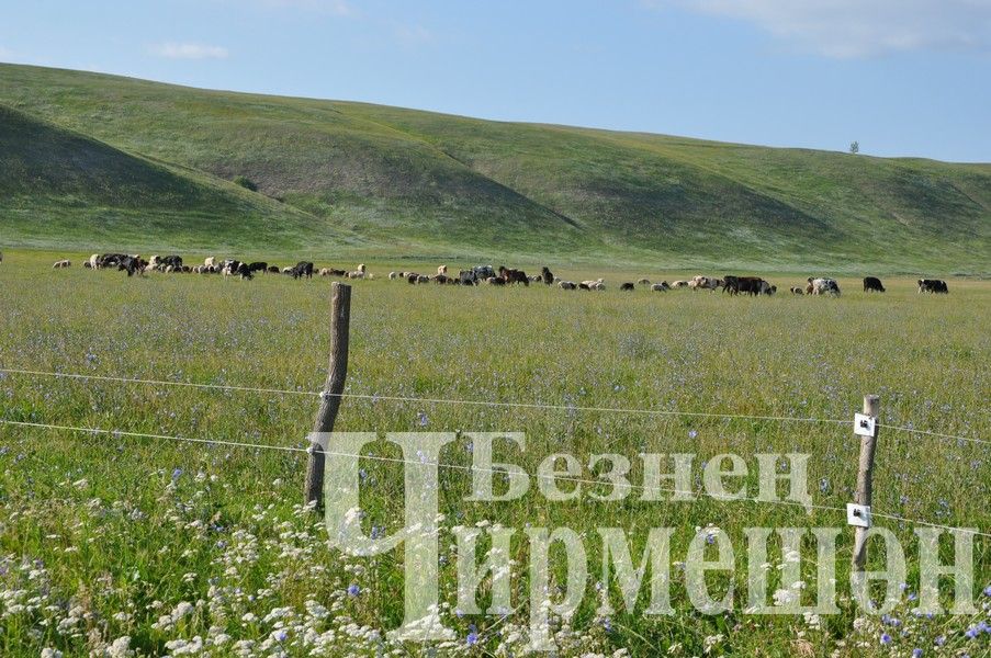 На Дне села в Яшавче батыром стал майор полиции (ФОТОРЕПОРТАЖ)