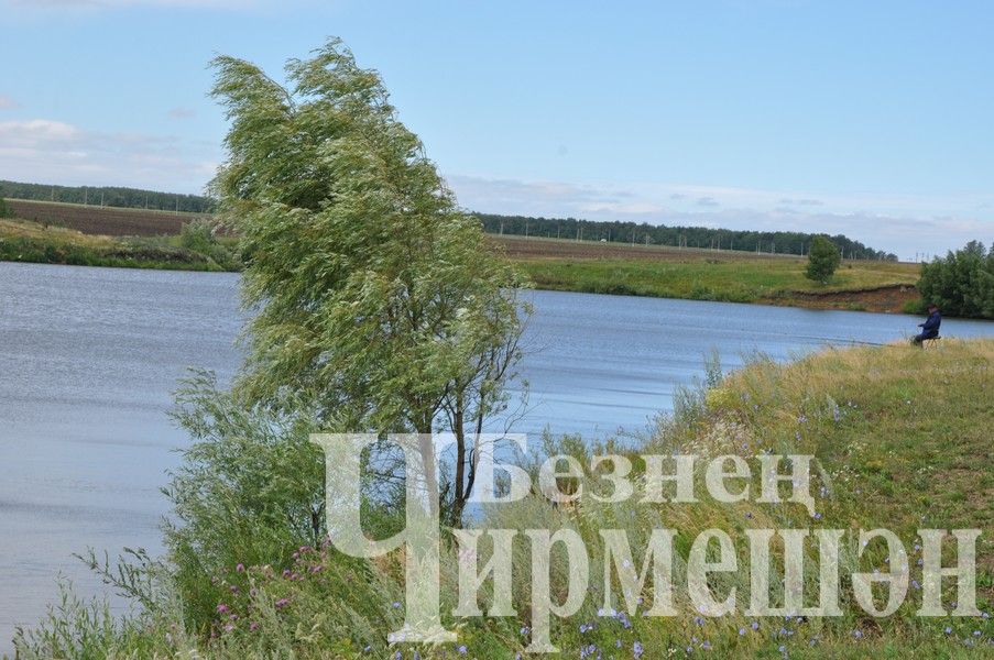 В Черемшанском районе прошли соревнования по спортивной рыбалке "Клевый рыбак" (ФОТОРЕПОРТАЖ)