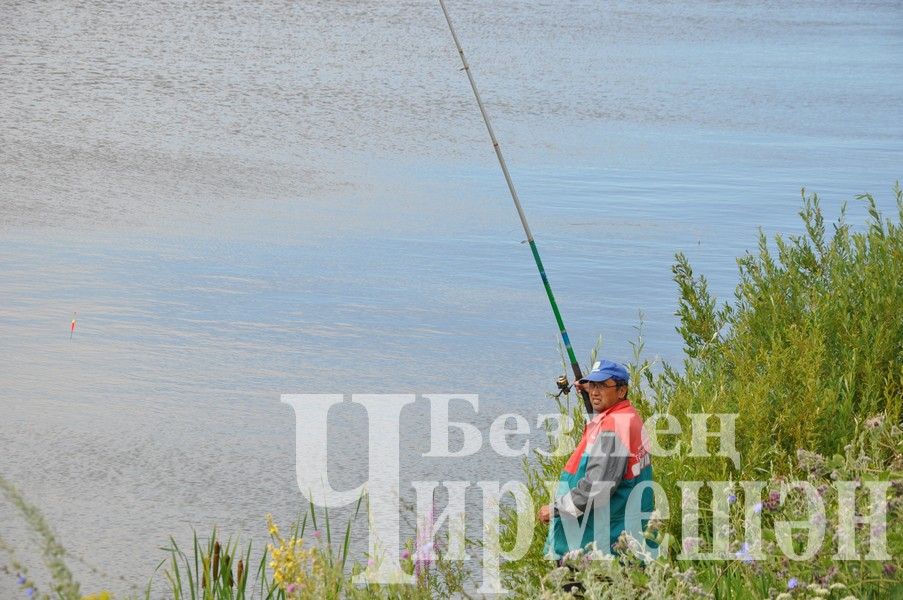 В Черемшанском районе прошли соревнования по спортивной рыбалке "Клевый рыбак" (ФОТОРЕПОРТАЖ)