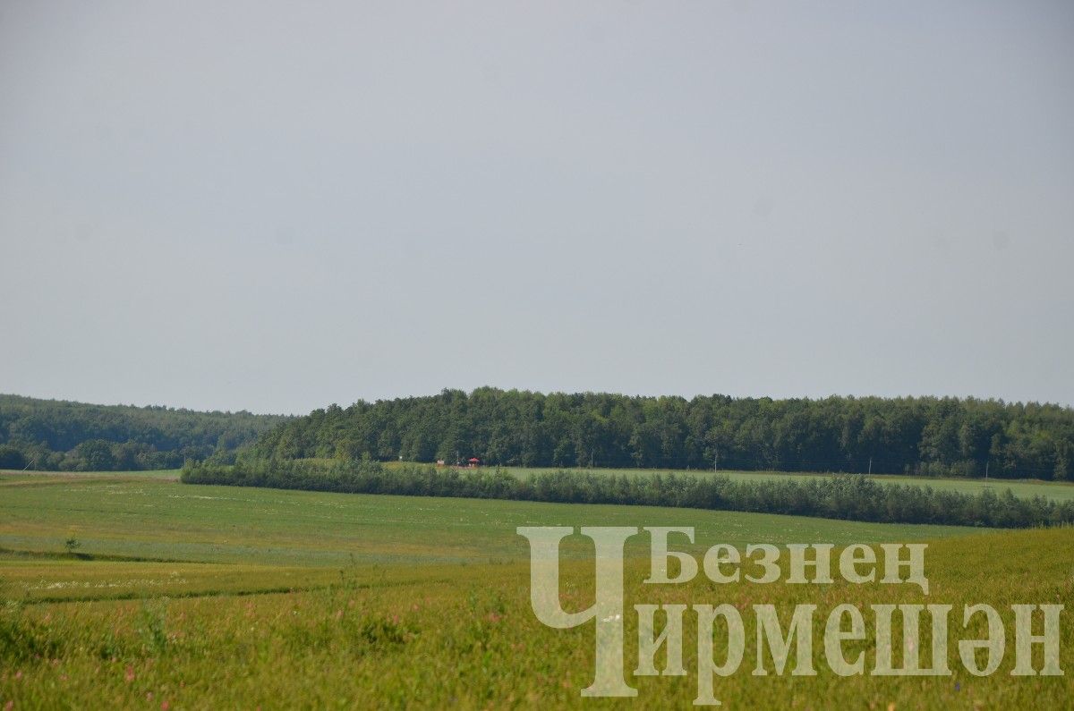 Яңа Элмәле халкы терлек азыгы әзерли (ФОТОРЕПОРТАЖ)