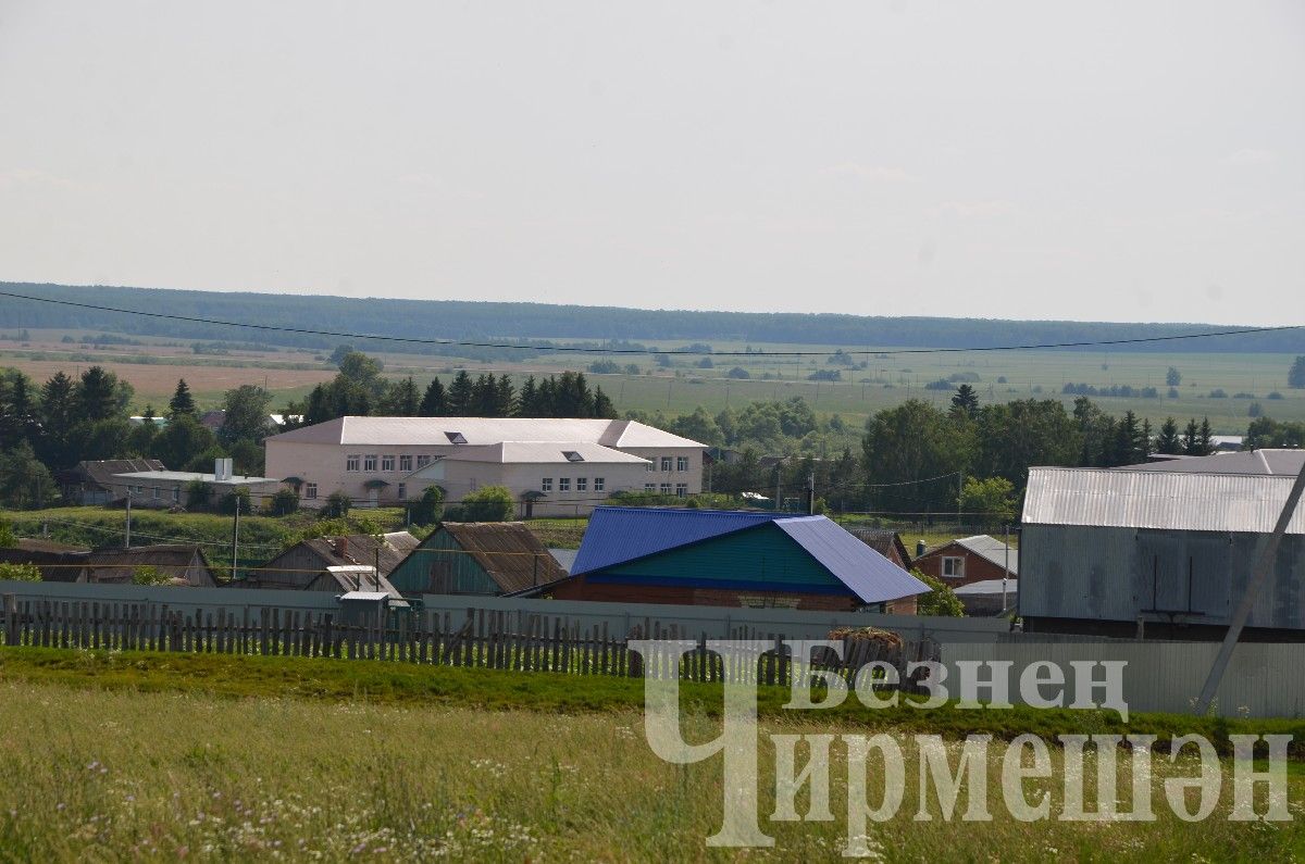 Яңа Элмәле халкы терлек азыгы әзерли (ФОТОРЕПОРТАЖ)