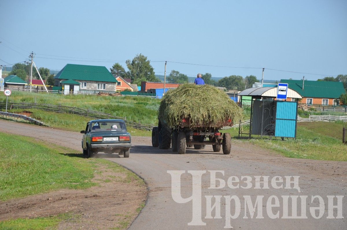 Яңа Элмәле халкы терлек азыгы әзерли (ФОТОРЕПОРТАЖ)