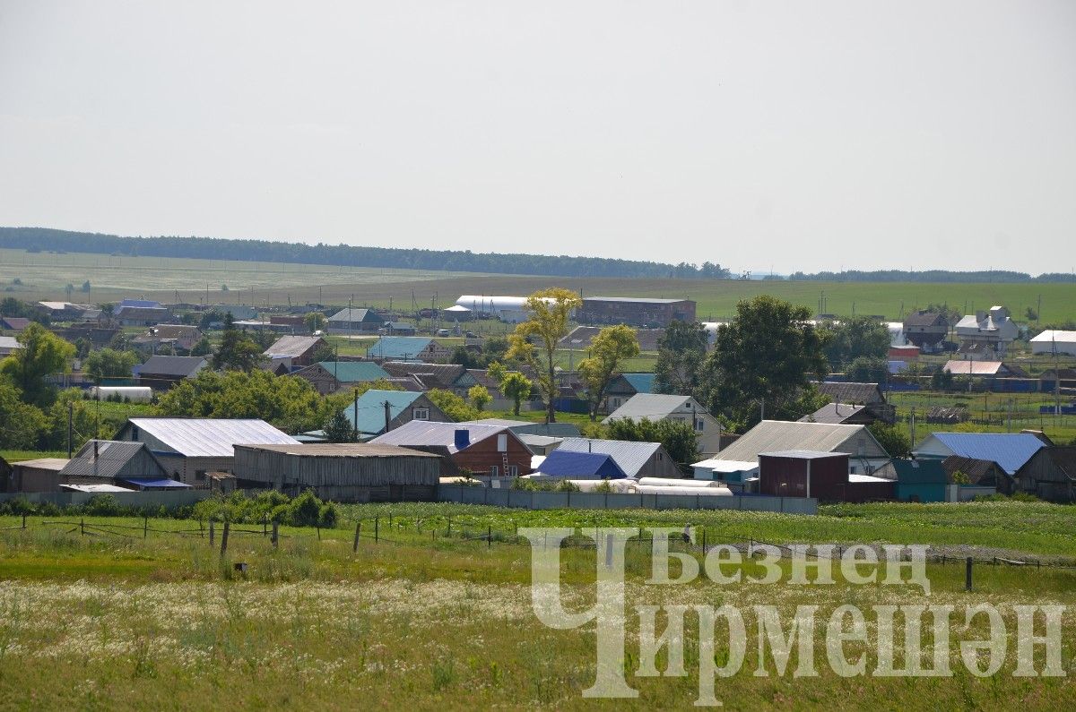 Яңа Элмәле халкы терлек азыгы әзерли (ФОТОРЕПОРТАЖ)