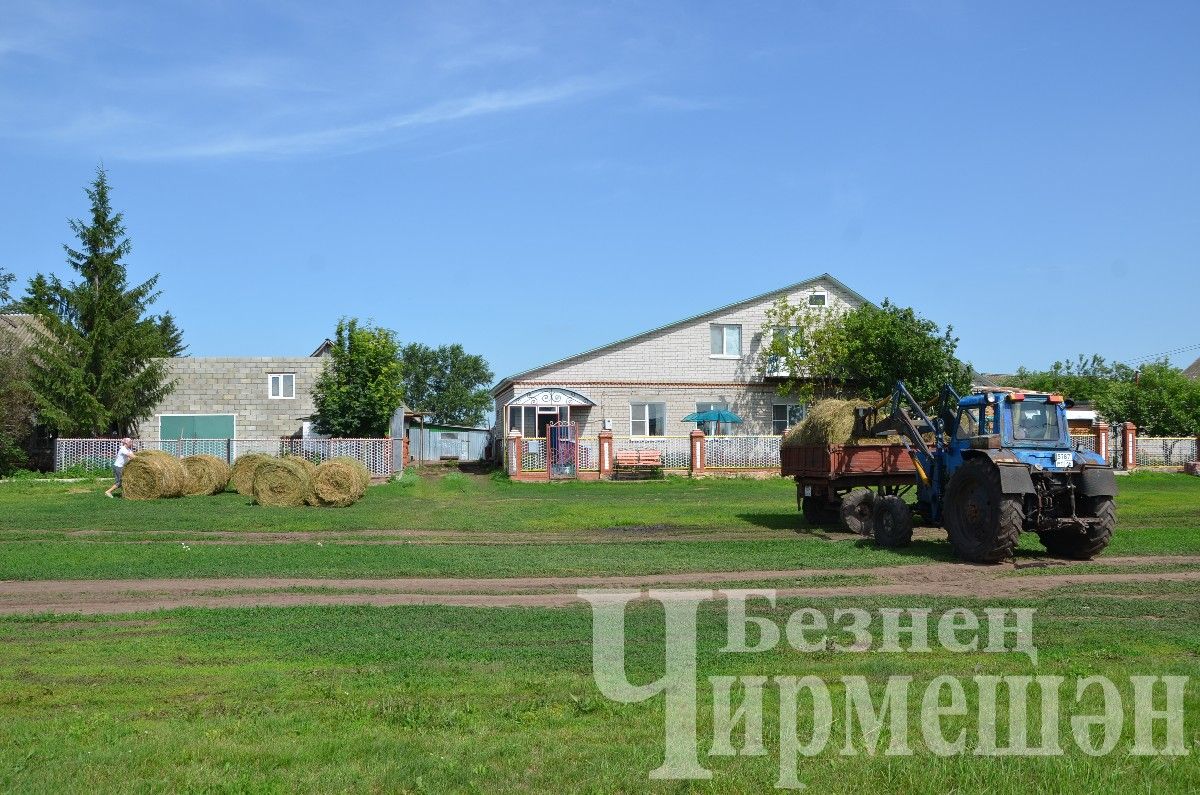 Яңа Элмәле халкы терлек азыгы әзерли (ФОТОРЕПОРТАЖ)