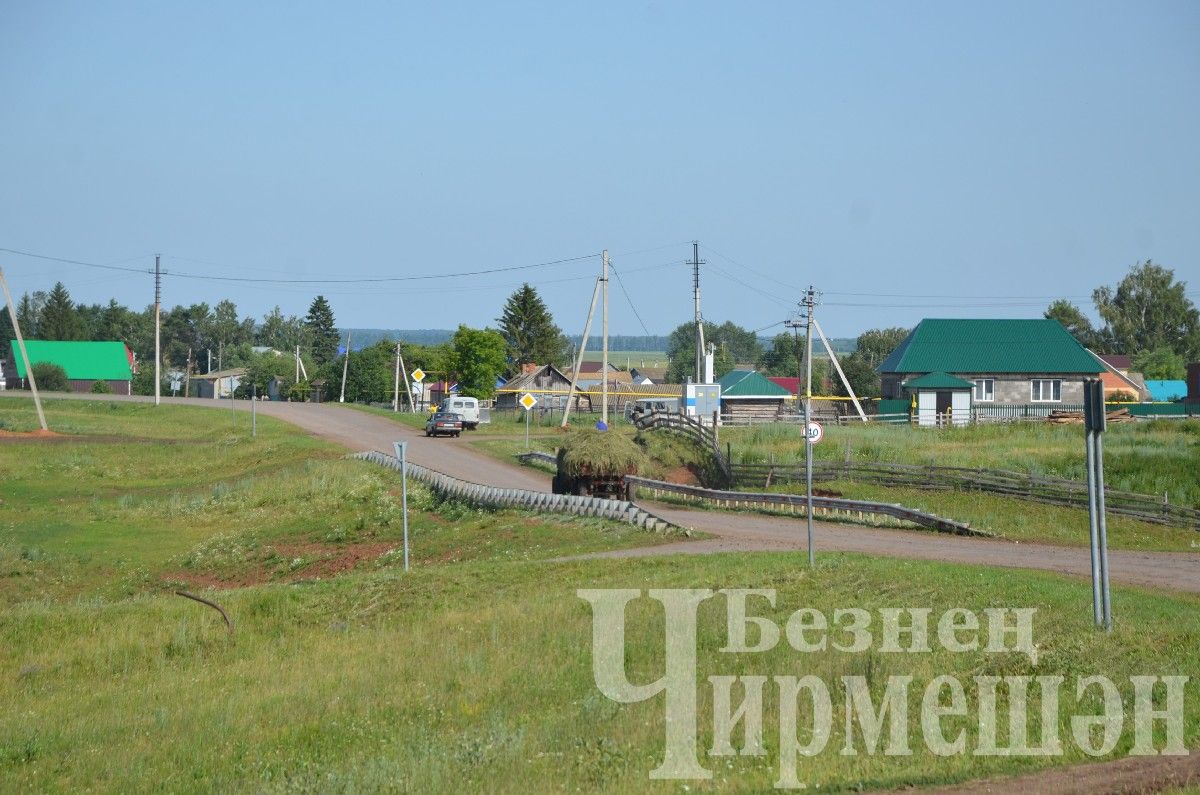 Яңа Элмәле халкы терлек азыгы әзерли (ФОТОРЕПОРТАЖ)