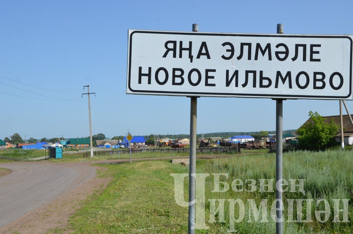 Яңа Элмәле халкы терлек азыгы әзерли (ФОТОРЕПОРТАЖ)