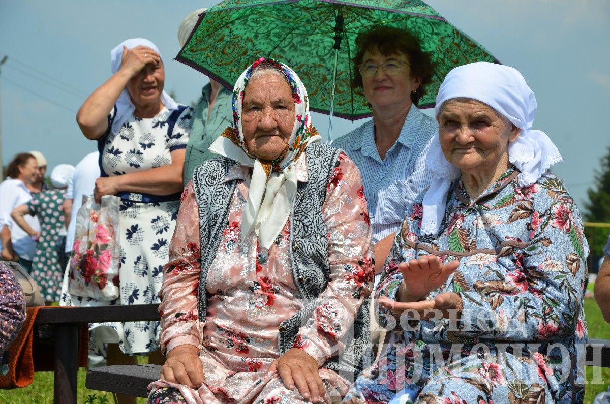 В Лашманке на празднике День села боролись и девушки (ФОТОРЕПОРТАЖ)