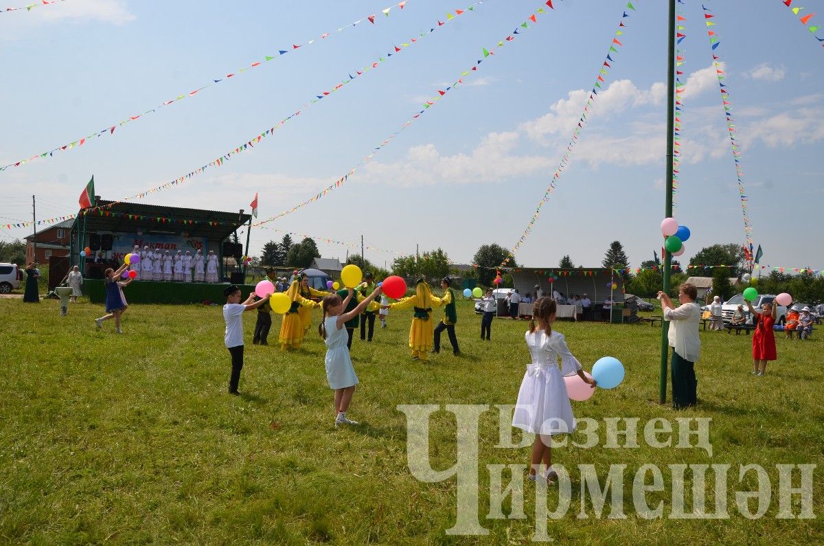 В Лашманке на празднике День села боролись и девушки (ФОТОРЕПОРТАЖ)